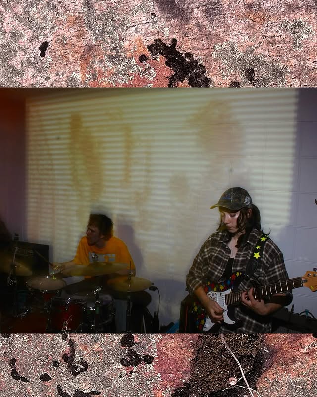 liveshot3