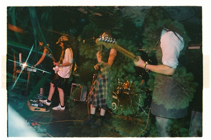 liveshot6